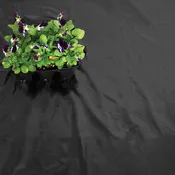 Black Mulch