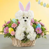 1800 Hoppy Easter