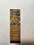 Advice Mini Mark Pika LVNP — Lassen Association | Peak Your Curiosity