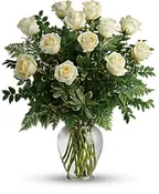 1 DOZEN PLAYA BLANCA ROSES