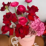 Pleasure in Pink