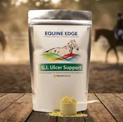 G.I. Ulcer Support