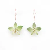Green Bupleurum Flower Drop Earrings