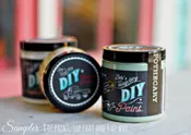 DIY Paint ™ Sample Kit