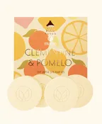 CLEMENTINE & POMELO SHOWER STEAMERS