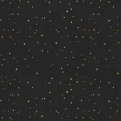 Clothworks Living the Dream Flannel – Y4538-3 Black Stars