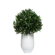 Bay Leaf UV