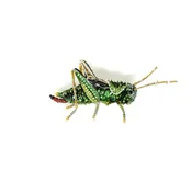 Beaded Brooch Pin - Stripped Grasshopper Brooch Pin