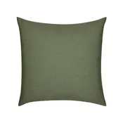 Canvas Fern Essentials | 20"x20"
