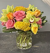 Coxcomb Mix