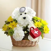 Doggie Howser M.D.™ Get Well