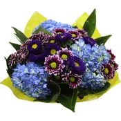 A Breeze of Love Every Day 15 stems