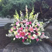 lovely Tribute