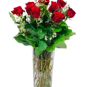 Classical Roses