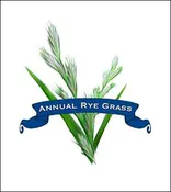 Grass Seed. Organic Annual Rye.