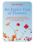 BOUQUET OF THE MONTH CLUB