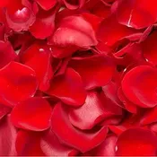 Box Of Rose Petals