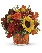 Autumns Hello