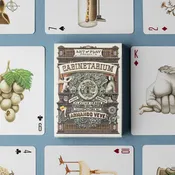 Art of Play: Cabinetarium Playing Cards