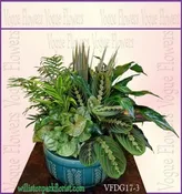 VOGUE'S DELUXE DISH GARDEN