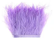 Ostrich Feather Fringe (2-ply)