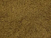 Celery Seeds
