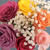 Designers Choice Dozen Colored Roses Wrapped Bouquet