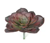 Artificial Succulent