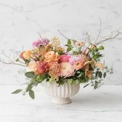 Matte pale pink compote