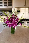 Mother’s Day Purple Orchid Elegance