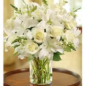 1-800-Flowers Classic All White