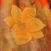 #ONY001