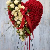 Classic Bleeding Heart