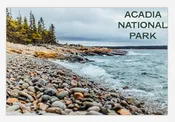 Acadia Rocky Beach Photo Post Card