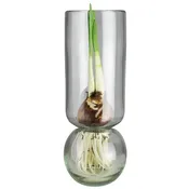 Tall Bulb Vase