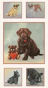 Off The Leash - Dog Panel