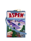 Aspen Book Clutch