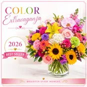 Color Extravaganza