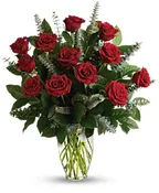 1 DOZEN EXPLORER ROSES