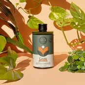 We The Wild Grow Concentrate — Scenic Roots Garden Center | Sandwich, MA
