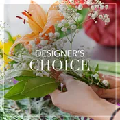 Designer's Choice $100