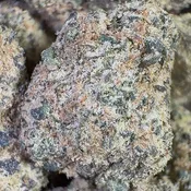 Granny Candy | 3.5 Grams | Sativa