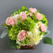 Beautiful Blooms