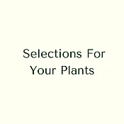 Choose Your Pot