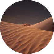 Egyptian Musk