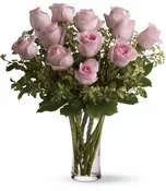 Dozen Light Pink Roses