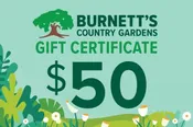 $50 Gift Certificate $50