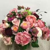 Garden Rose Explosion