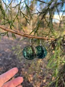 Alaskan Trees Earrings By Jaime Barks