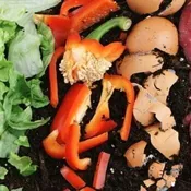 Food Waste Recycling